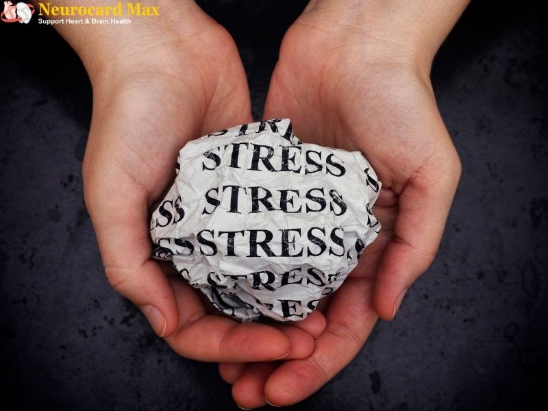 Stress là gì