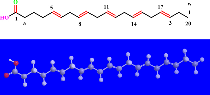 hình học phân tử EPA
