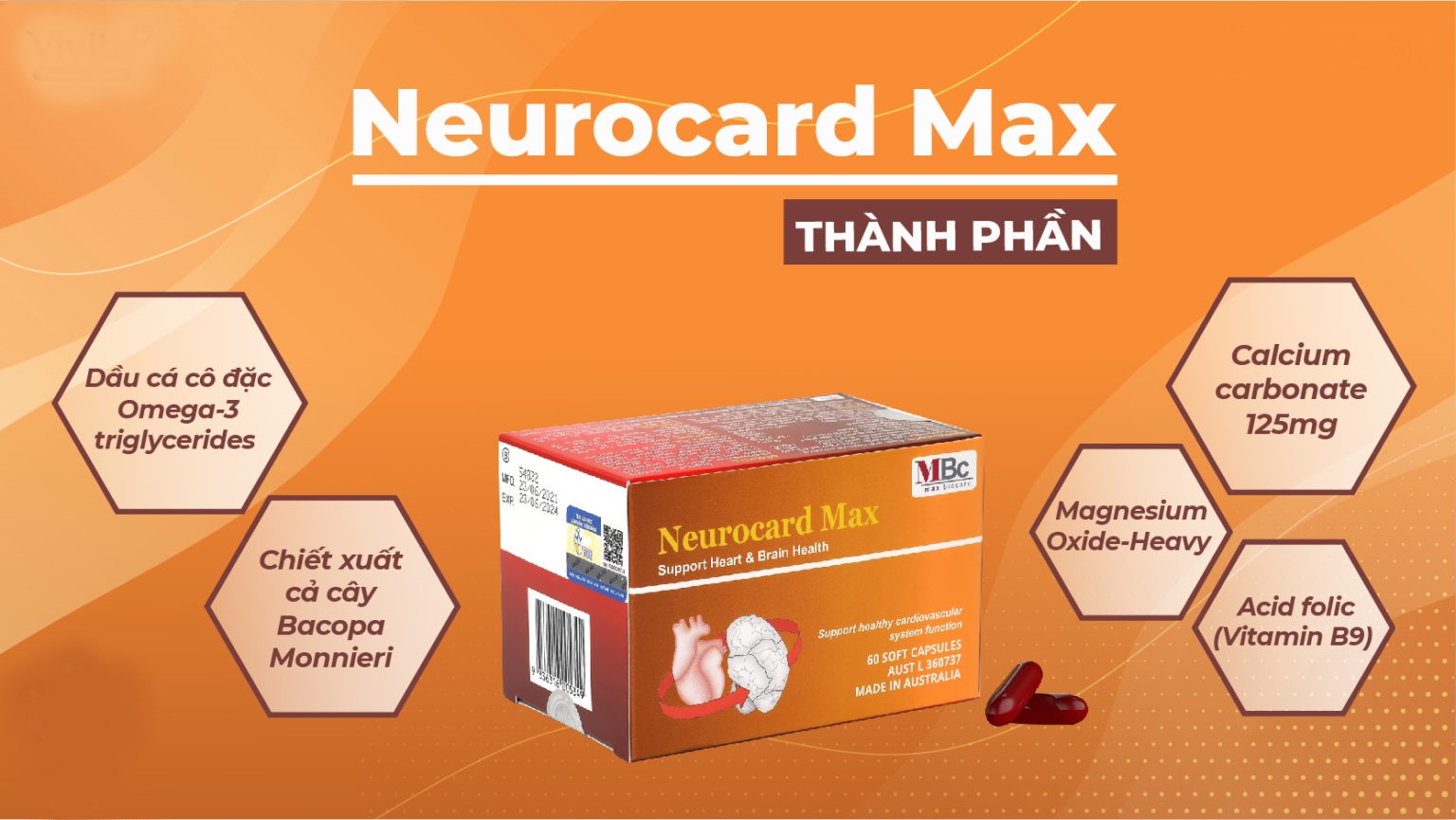 Neurocard Max